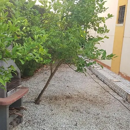 Lägenhet Punta Prima Bungalow Jardin Privado Torrevieja